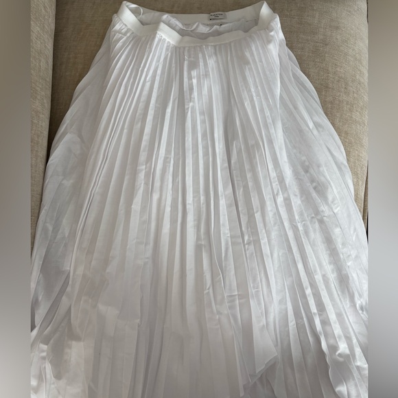 Babaton Ladder Poplin Skirt - Picture 5 of 6